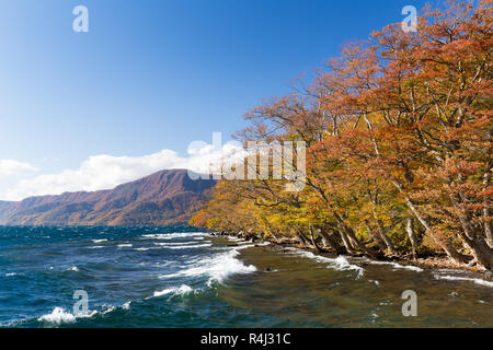 Il lago Towada in autunno Foto Stock