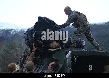 Stati Uniti Marines con il secondo assalto anfibio Battaglione, 2° Divisione Marine, offload una luce veicolo blindato dopo un atterraggio anfibio durante l'esercizio Trident frangente 18, in Alvund, Norvegia, Ottobre 30, 2018. Trident frangente 18 dimostra II Marine forza expeditionary possibilità di distribuire, impiegano, e ridistribuire il Marine Air-Ground Task Force migliorando al contempo l'interoperabilità con gli alleati della NATO e partner. Foto Stock