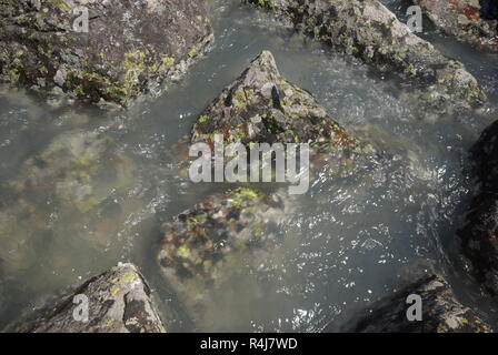 Il fiume di montagna in montagna. La corrente attraverso la gola del fiume. Pietre e terra rocciosa vicino al fiume. Bellissimo paesaggio di montagna Foto Stock