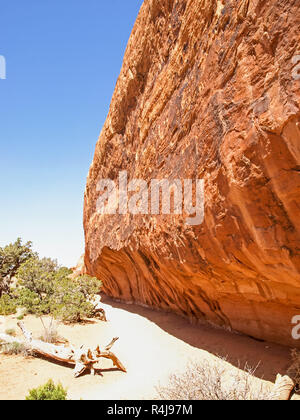 La natura del Parco Nazionale, Utah. Il paesaggio e le rocce. Strade e p Foto Stock
