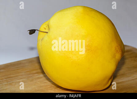 Giallo (Cotogno Cydonia oblonga) frutta, vicino isolata. Foto Stock