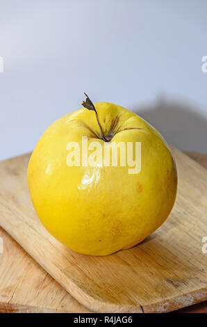 Giallo (Cotogno Cydonia oblonga) frutta, vicino isolata. Foto Stock