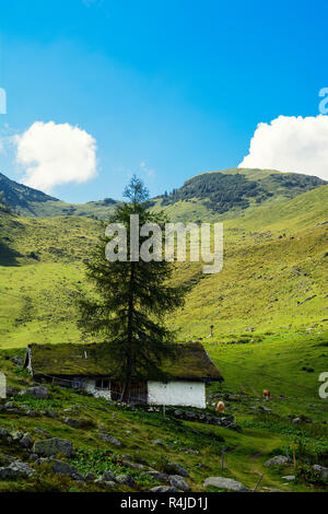 Bellissima vista di Henne montagna , il sentiero per il lago di Wildsee nelle Alpi austriache da Larchfilzkogelof funivia, Fieberbrunn, Tirolo, Austria Foto Stock