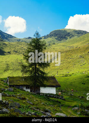 Bellissima vista di Henne montagna , il sentiero per il lago di Wildsee nelle Alpi austriache da Larchfilzkogelof funivia, Fieberbrunn, Tirolo, Austria Foto Stock