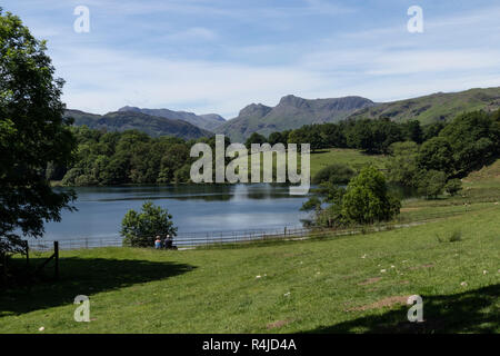 Vista di Loughrigg Tarn nel Lake District inglese, UK. The Langdale Pikes sono a distanza Foto Stock