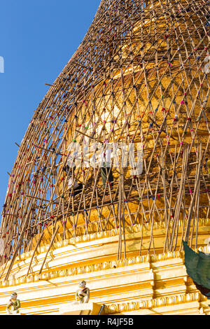 Lavoratore repareing tempio d'oro Foto Stock