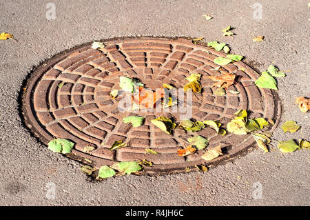 Tombino sotto un colorato a secco di foglie di autunno Foto Stock