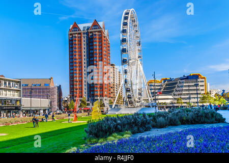 Moderna ruota panoramica circondata da alti edifici moderni nel centro di Rotterdam vicino al mercato Hall square nei Paesi Bassi