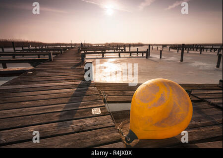 Ghiaccio sul neusiedlersee con giallo boa in primo piano Foto Stock