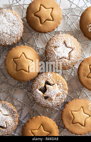 Piccoli frutti di panpepato tritare crostate spolverato con zucchero a velo. Foto Stock