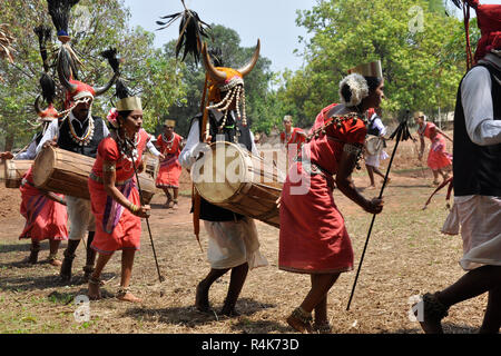 India Orissa, Chhattisgarh, area Muria, Bison tribù avvisatore acustico Foto Stock