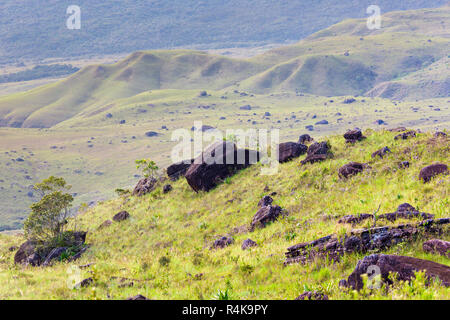 Via a monte Roraima - Venezuela, Sud America Foto Stock