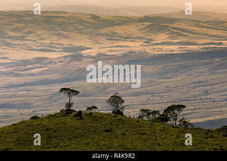 Via a monte Roraima - Venezuela, Sud America Foto Stock