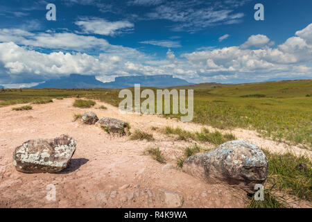 Via a monte Roraima - Venezuela, Sud America Foto Stock