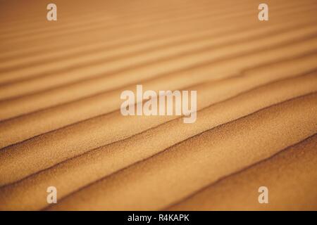 Vista ravvicinata di dune di sabbia nel deserto. Wahiba Sands, Sultanato di Oman. Foto Stock