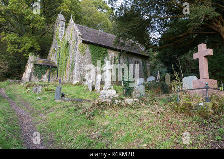 La chiesa abbandonata della Chiesa Llandyfeisant sul bordo del Dinefwr station wagon, Llandeilo, Carmarthenshire, Galles Foto Stock