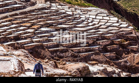 Le miniere di sale e vasche con lavoratore peruviano davanti, Salineras de Maras. Perù Foto Stock