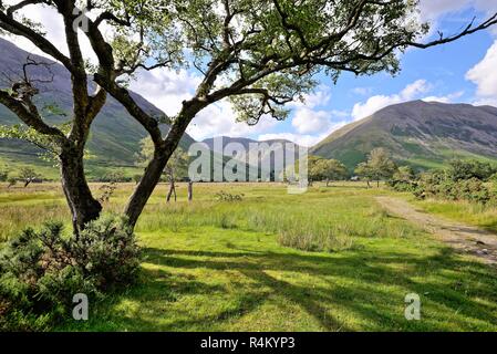 Wasdale testa su una soleggiata giornata d'estate, Parco Nazionale del Distretto dei Laghi Cumbria Inghilterra England Regno Unito Foto Stock