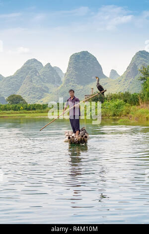 Yangshuo, Cina - 14 Luglio 2010: Tradizionale cormorano pescatore lavora sul Fiume Li Yangshuo, Cina. Cormorano pesca è un modo di vivere tradizionale Foto Stock