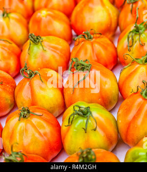 Pomodoro Oxheart dalla Liguria chiamato cuore di bue in un mercato in stallo. Foto Stock