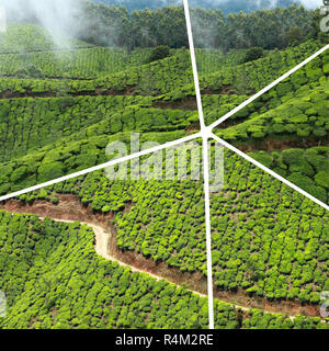 Collage di piantagioni di tè in Munnar ( India ) - immagini di sfondo di viaggio (le mie foto) Foto Stock