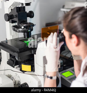 La scienza della vita microscopia ricercatore in genetica laboratorio scientifico. Foto Stock