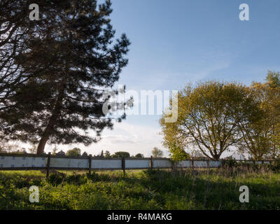 Una recinzione di un campo di alcuni alberi e un'impostazione sun creando una bella scena rilassante e pace paesaggio naturale Foto Stock