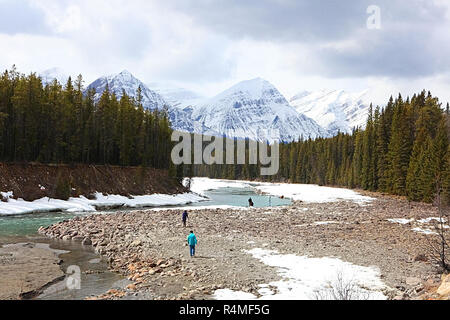 Tre gli escursionisti del Parco Nazionale di Jasper, Alberta, Canada lungo il Fiume Athabasca Foto Stock