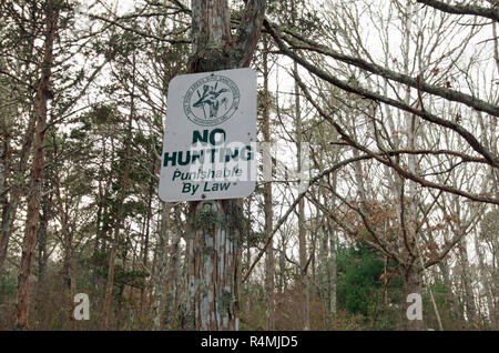 Niente caccia punibile dalla legge segno sulla struttura ad albero Stagno di sale zone santuari di uccelli in Falmouth, Cape Cod, Massachusetts, STATI UNITI D'AMERICA Foto Stock