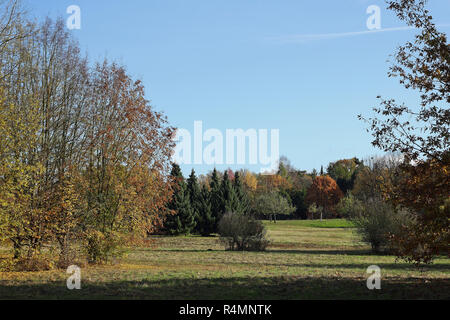 Il paesaggio del Parco in autunno colori Foto Stock