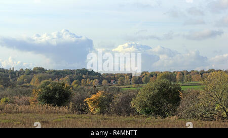 Paesaggio autunnale di Berlino, la capitale tedesca Foto Stock