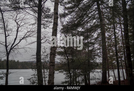 Lago Ontario del nord è ricoperta di ghiaccio nel Deep Freeze di un tipico inverno canadese. Foto Stock