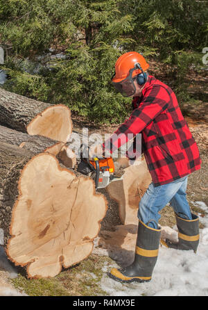 Immagini Stock - Il Taglialegna Taglia La Sega A Catena. Lumberjack  Professionista Che Taglia Un Grande Albero Nel Giardino. Image 78960052