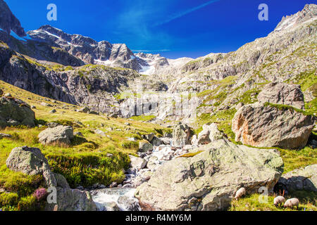 Fiume Gorezmettlenbach con Alpi Svizzere (Wandenhorn, Grassengrat e Chlo Spannort) su Sustenpass, Svizzera, Europa. Foto Stock