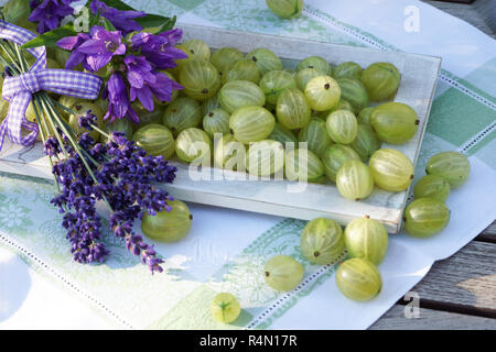 Atmosfera estiva con uva spina sul vassoio in legno amorevolmente decorate con fiori e vasetto di marmellata Foto Stock