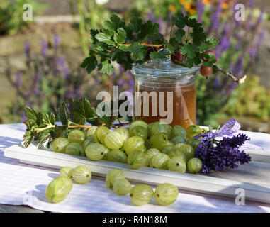 Atmosfera estiva con uva spina sul vassoio in legno amorevolmente decorate con fiori e vasetto di marmellata Foto Stock