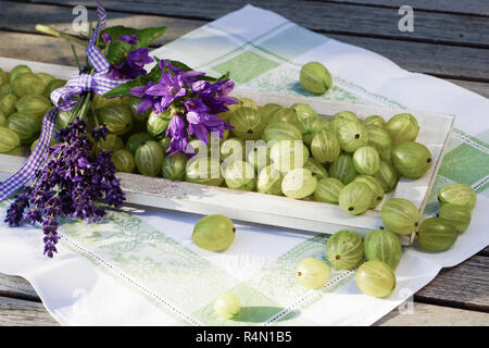 Atmosfera estiva con uva spina sul vassoio in legno amorevolmente decorate con fiori e vasetto di marmellata Foto Stock