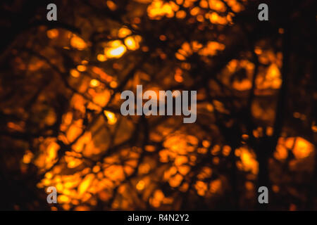 Abstract fuori fuoco fiamme e scintille provenienti da una notte dei falò incendio in East Devon, Sud Ovest dell'Inghilterra, Regno Unito. Foto Stock