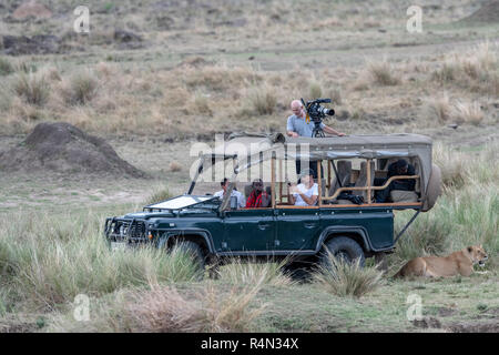 Leonessa riposa in ombra di safari in jeep il Masai Mara, Kenya Foto Stock