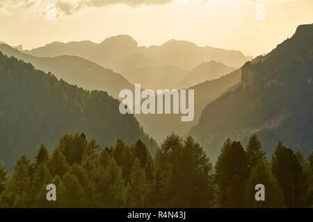 Alpine Falre al tramonto Foto Stock