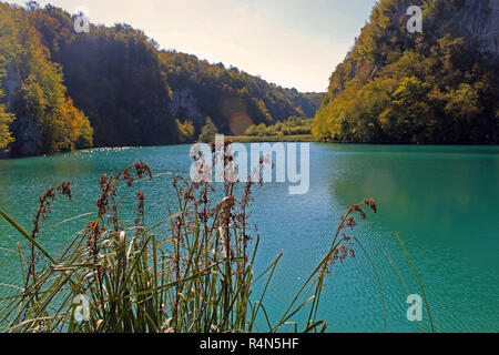 Vista su un lago nel parco nazionale di Plitvice in Croazia Foto Stock