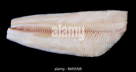 Unico crudo fresco intero il merluzzo bianco Filetto di pesce isolato su sfondo bianco Foto Stock