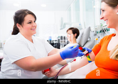Disinfezione di infermiere punto di foratura prima della donazione del sangue Foto Stock