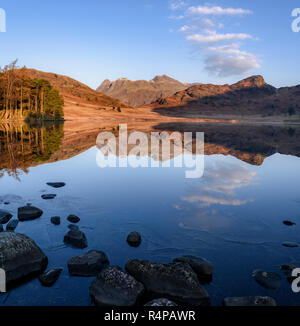 Simili a specchio riflessioni di The Langdale Pikes in Blea Tarn su un freddo inverno chiaro di mattina Foto Stock