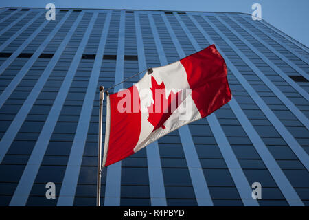 Bandiera canadese di fronte ad un edificio aziendale in Ottawa, Ontario, Canada. Ottawa è la capitale del Canada, e uno dei principali attori economici, italiano Foto Stock