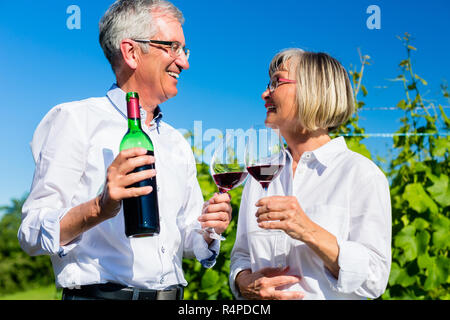 Senior donna e uomo di bere vino in vigna Foto Stock