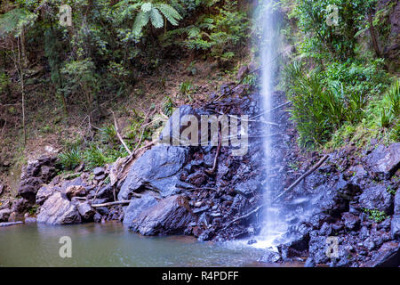 Twin Falls cascate nel pittoresco Springbrook national park, nell'entroterra della Gold Coast, Queensland, Australia Foto Stock