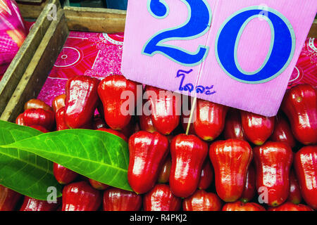 Thai rose apple Foto Stock