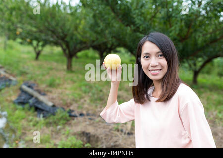 Donna che mantiene pera in fattoria Foto Stock