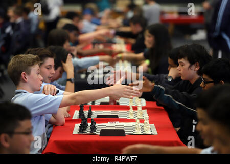 Nazionale Junior team di scacchi concorrenza, Auckland, Nuova Zelanda Foto Stock